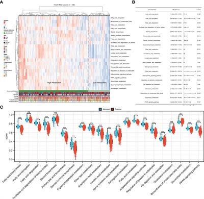 Identification of the alpha linolenic acid metabolism-related signature associated with prognosis and the immune microenvironment in nasopharyngeal carcinoma